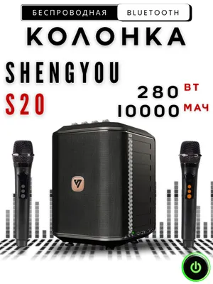 Bluetooth колонка Shengyou S20 с 2 микрофонами